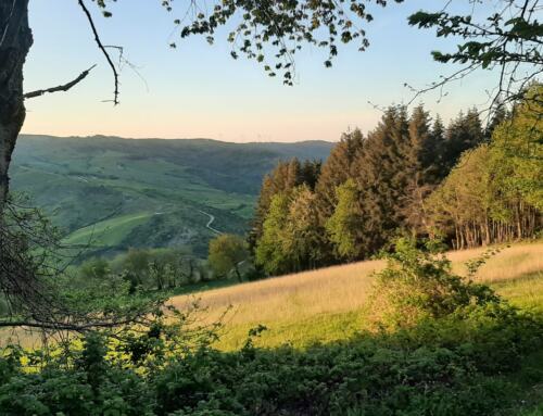 Trekking e natura: i sentieri più belli